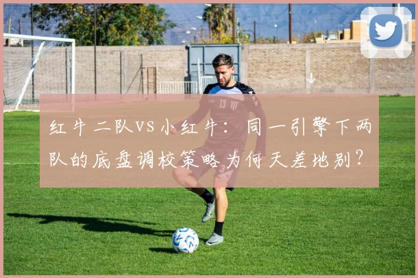 红牛二队vs小红牛：同一引擎下两队的底盘调校策略为何天差地别？